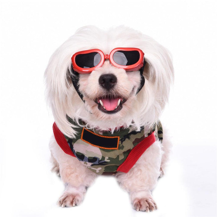 Sunglasses Eye Protection For Pets